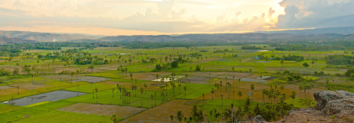 About Sinar Sumba Tour