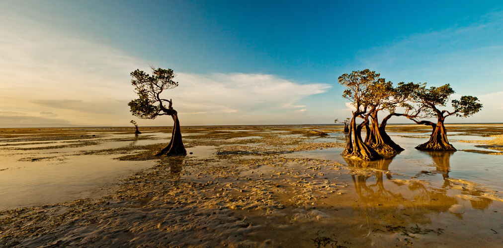 Sinar Sumba Tour Top Deals